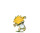 caio.gif (3540 bytes)